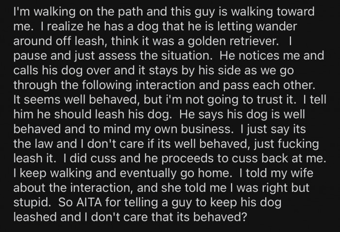 OP eventually came across an unleashed Golden Retriever and feared for their son's life.