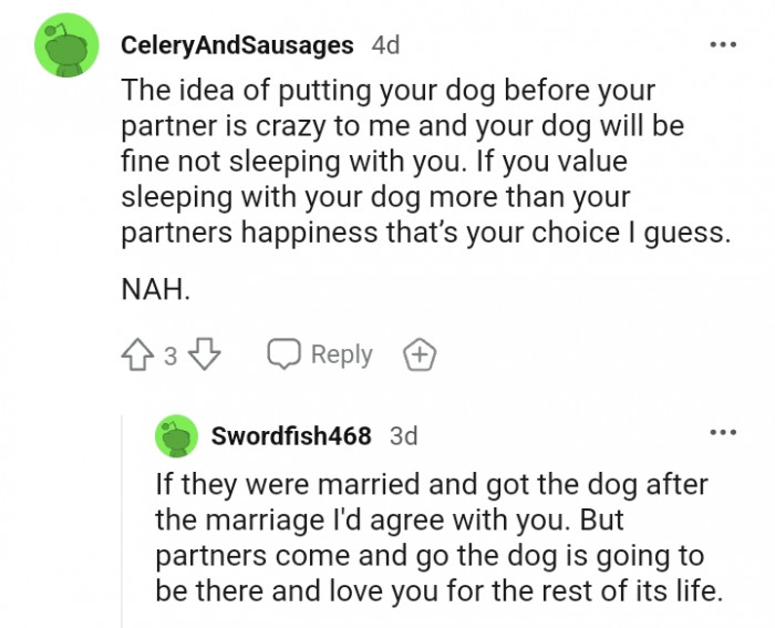 Putting your dog before your partner is crazy