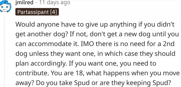 Do they really need a second dog?