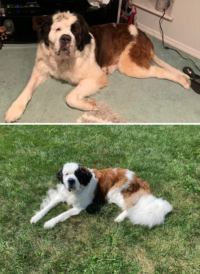 35. Gotcha Day 11/9/19 And Few A Weeks Ago