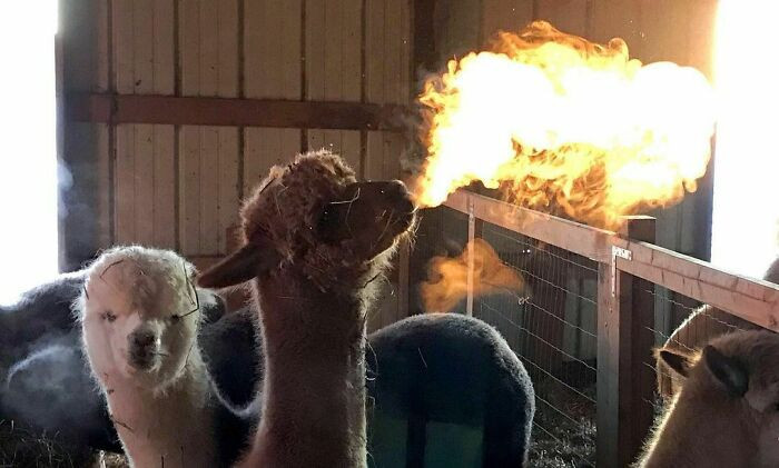 49. I have the power of fire