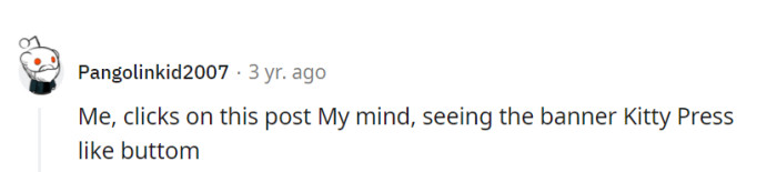 Ah, the universal language of the internet: Kitty content gets an instant 