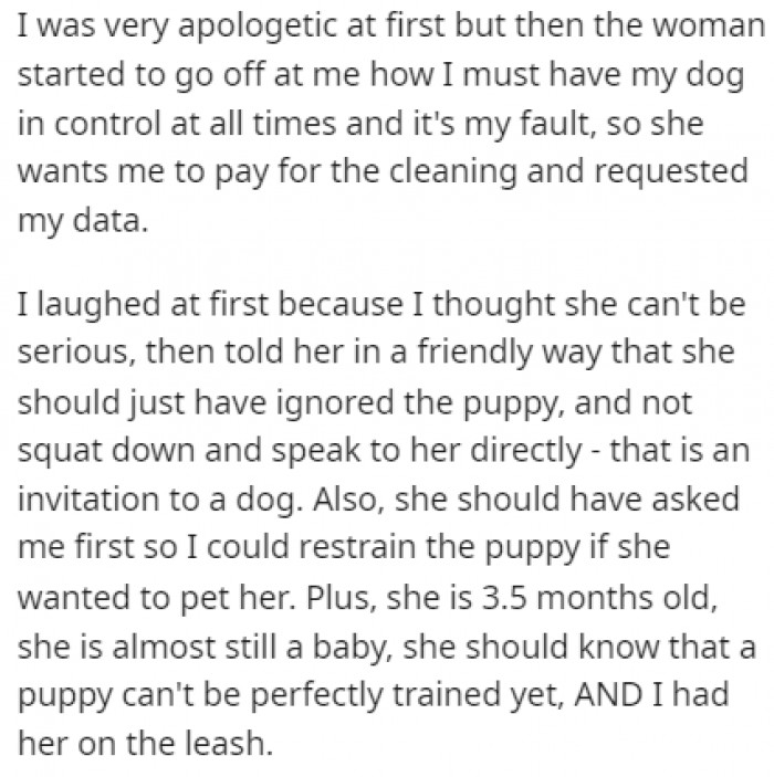 OP didn't think much of this at first, but they quickly noticed that the lady was furious, and she ripped into the dog owner.
