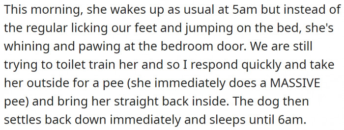 They are still trying to balance their own needs with the dog's needs, and getting up early in the morning is one of them.
