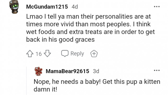 7. Get this pup a kitten