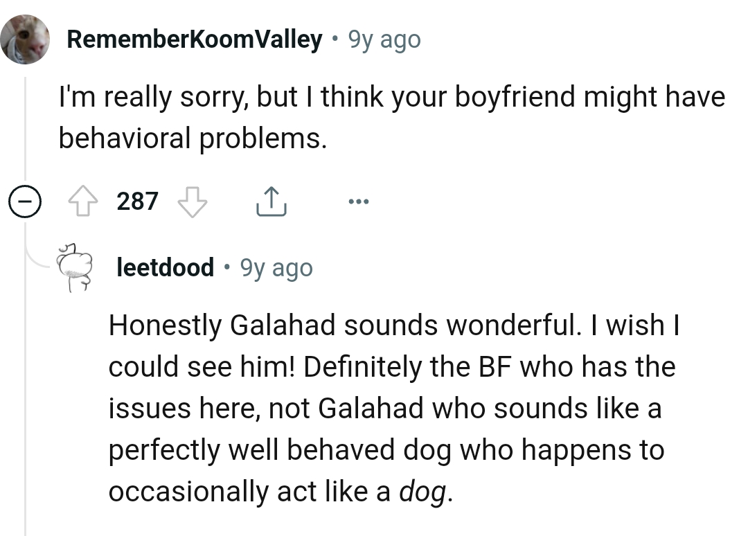 This Redditor wishes they could see the dog