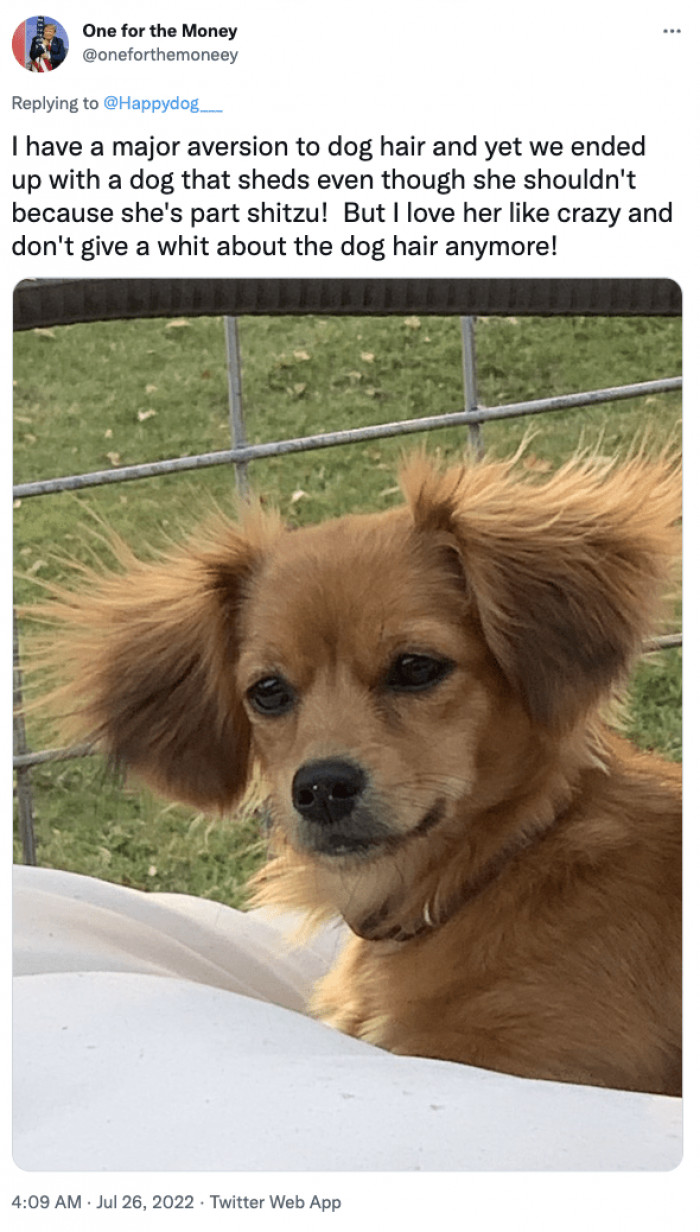 16. Dog hair that warmed a frozen heart.