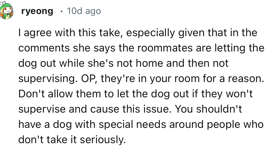 “Don't allow them to let the dog out if they won't supervise and cause this issue. You shouldn't have a dog with special needs around people who don't take it seriously.”