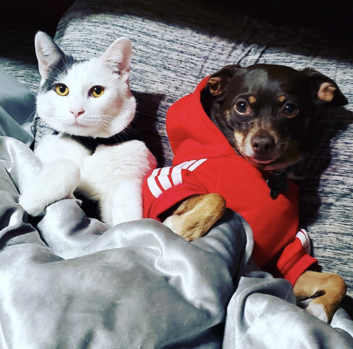 These Two Are Best Friends...