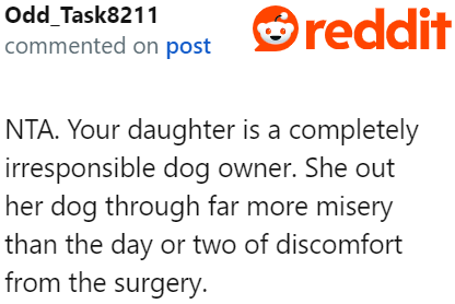 Redditors criticize the daughter for being irresponsible as a dog owner.