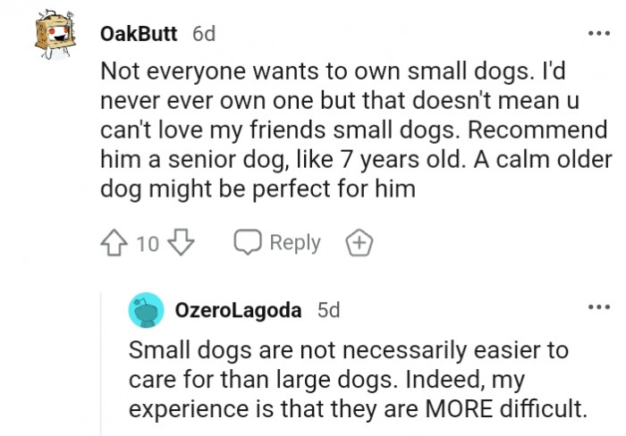 20. A calm older dog might be perfect