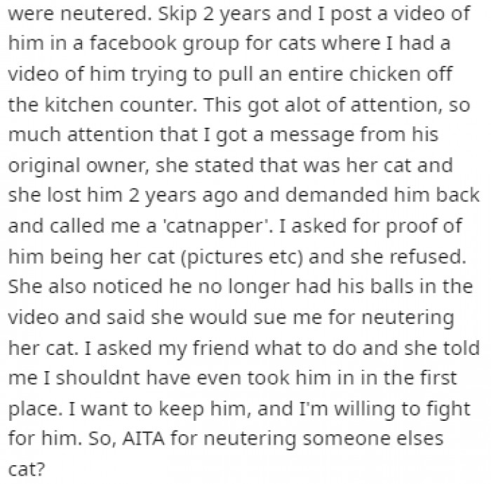 After a long two years, the owners turned up and demanded ownership of the cat.