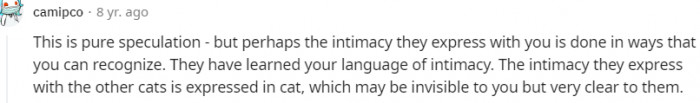 20. They've learned your language of intimacy