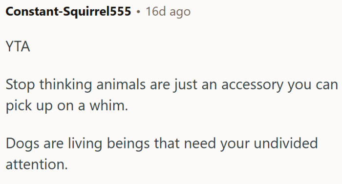 An animal is not an accessory.
