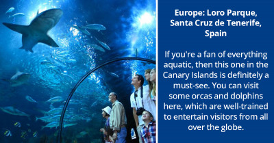 5 Best Zoos In The World You Ought To Visit At Least Once In This Lifetime If You Love Animals