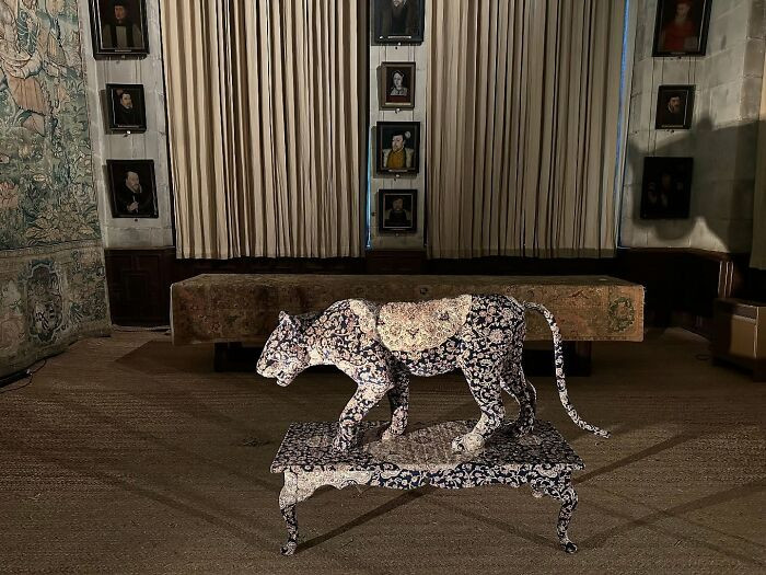 “Blue Leopard”