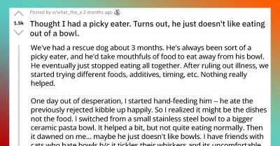 Rescue Dog Refuses to Eat Out of a Bowl and Teaches Human a Significant Lesson About Dogs and Their Random Quirks