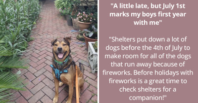 14 Pictures Of Adorable Adopted Dogs, Their Rescue Stories, And Everything About Them (New Batch)