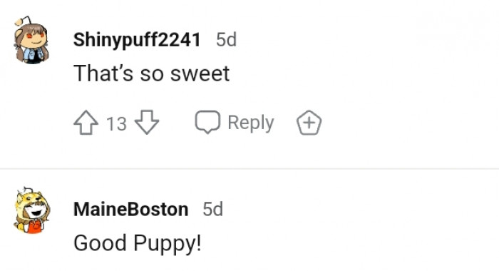 13. A good puppy!