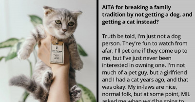 A Guy's Mother-In-Law Forces Him To Get Rid Of An Abandoned Cat And Buy A Dog To Uphold A Family Tradition