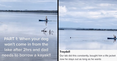 After Spending Hours Swimming In The Lake, This Dog Hilariously Evades His Owner Chasing Him Down (Videos)