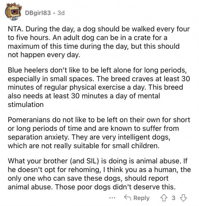 "Those poor dogs didn't deserve this."