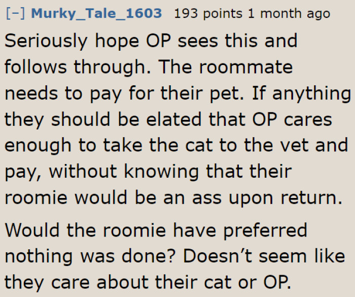 But the thing is, if the OP had left the cat as it was, she would probably have gotten mad too.