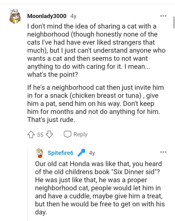 If he's a neighborhood cat, then he should be invited for a snack