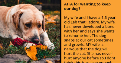 Redditor Doesn't Want To Give In To Wife’s Demands About Rehoming The Dog