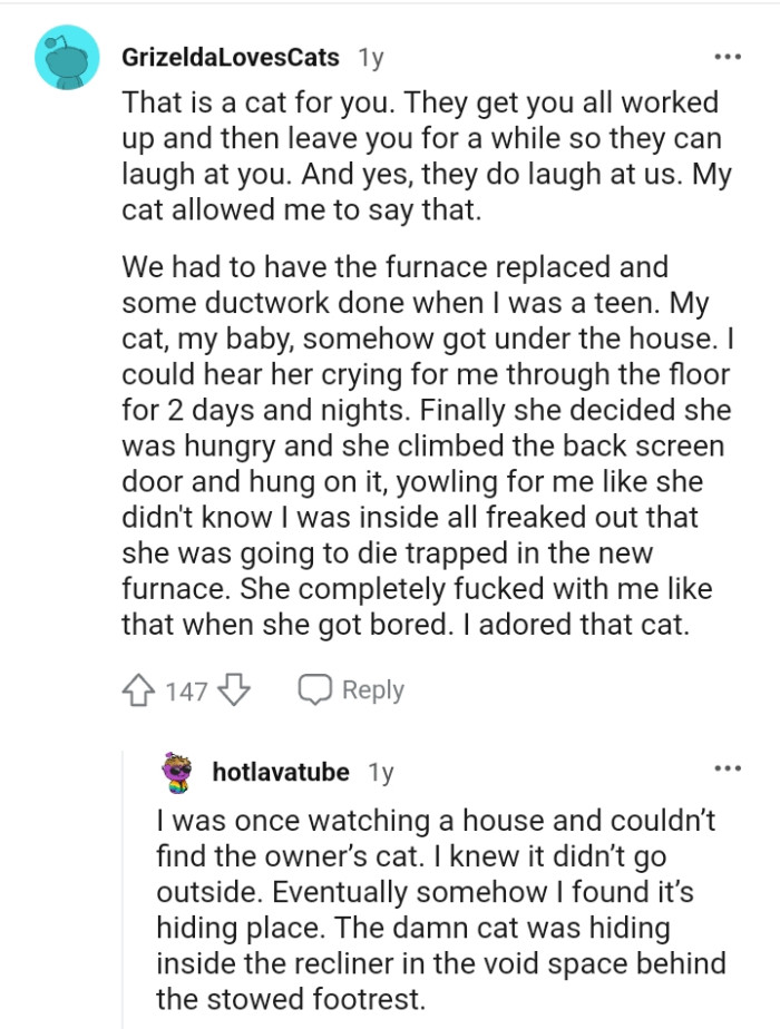 That is a cat for you