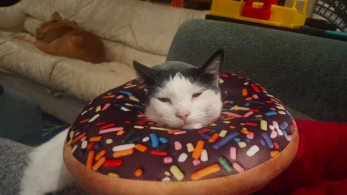 6. Instead of eating a doughnut, this hungry boy chose to become one: