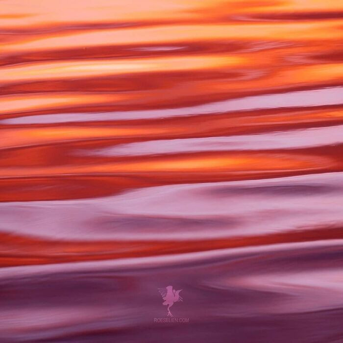 Close-up of a small bird staring at a fly, curious eyes.