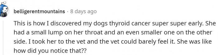 You can save your pet's life just by hugging and playing with it: