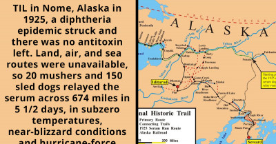 Redditor Shares Interesting Facts About The Famous Serum Run Of 1925 And The Hero Dogs That Saved Lives