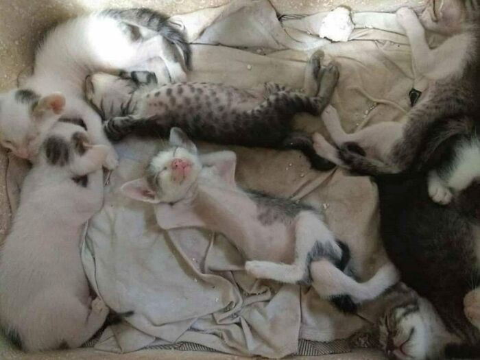 8. When it's nap time, it is nap time...