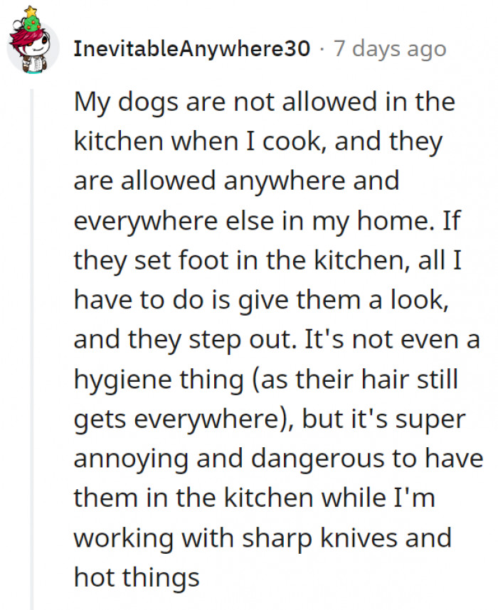11. There's also the chances of an accident with a loose dog in the kitchen
