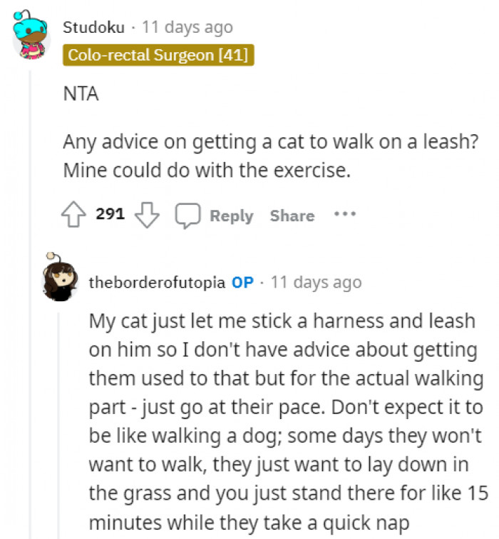 8. A little advice for anyone wanting to train their cat to walk on a leash.