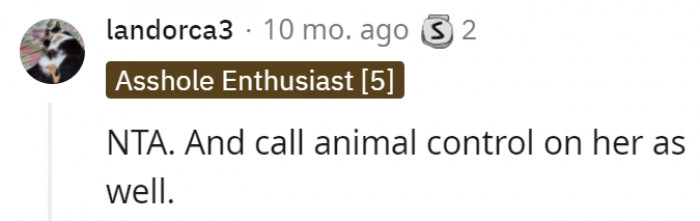 1. She practically endangered that cat's life by setting it free out there