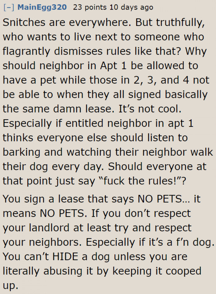 The landlord/landlady says no pets are allowed, tenants must simply follow the rule.