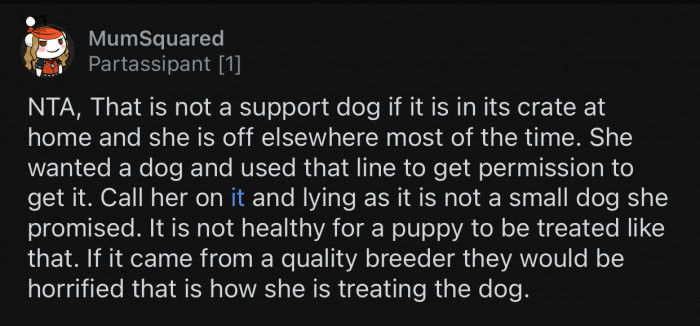 The way the roommate treats her dog is horrifying.