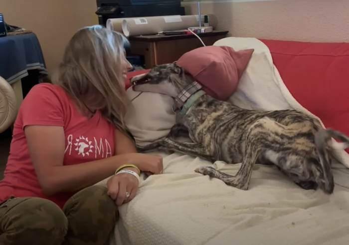 They look like two peas in a pod.