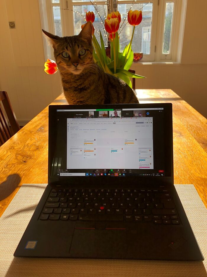 Checking the new neighbor out "Just making sure you’re not a serial killer or anything."