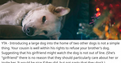 Sibling Sides With Brother After Their Family Tells Him Not To Bring His Dog On Christmas