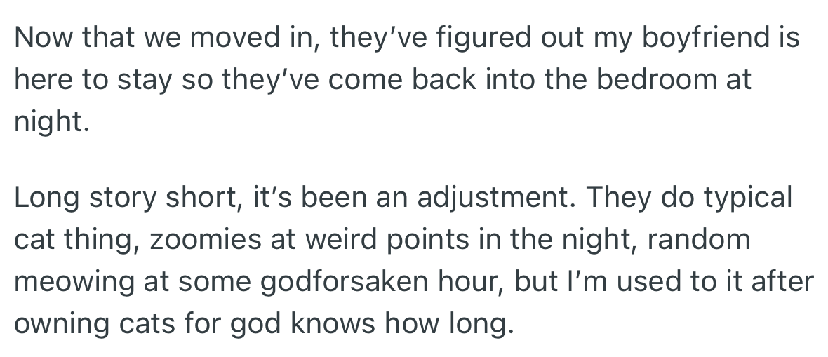 OP’s cats became comfortable in their newfound place and would come into the bedroom she shares with her boyfriend.