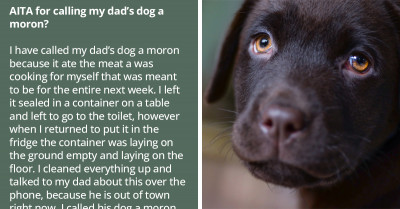 Redditor’s Father Threatens To Kick Him Out Of The House For Calling His Dog A “Moron”