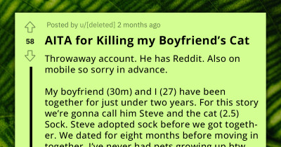 Lady's Decision To "Kill" Boyfriend's Cat Despite Bf's Refusal Causes A Stir Among Their Friends And Redditors