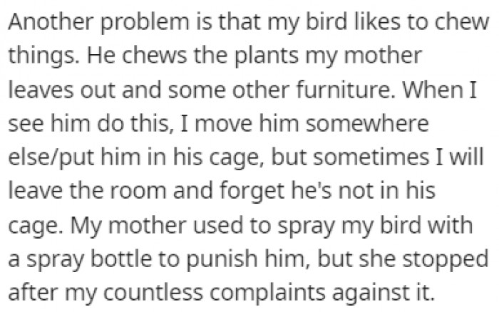 The bird also likes to chew on things like the mother's plants and furniture