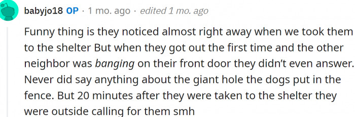 They peek through the windows...