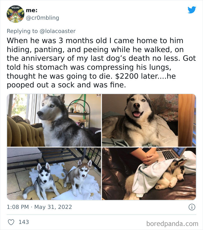 38. He loves socks too much