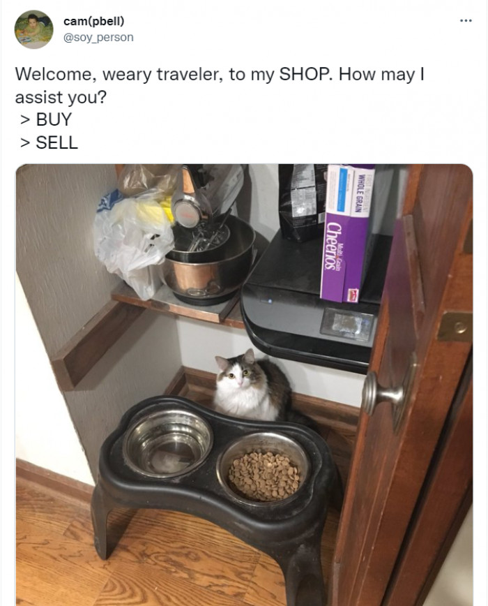 25. Khajiit has wares, if you have coin